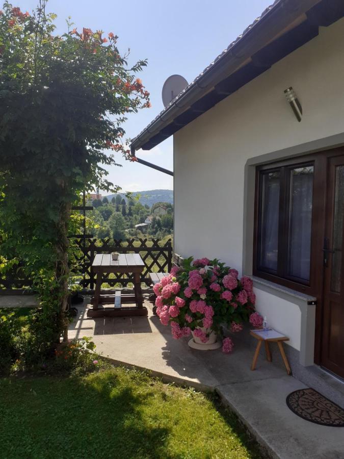 Apartment Petra I Nikola Селиште-Дрежничко Экстерьер фото