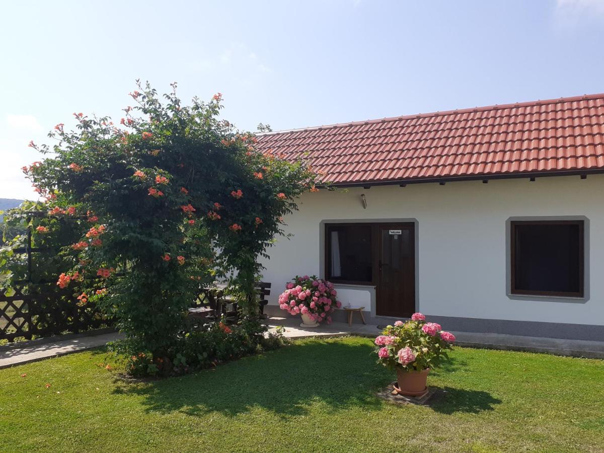 Apartment Petra I Nikola Селиште-Дрежничко Экстерьер фото