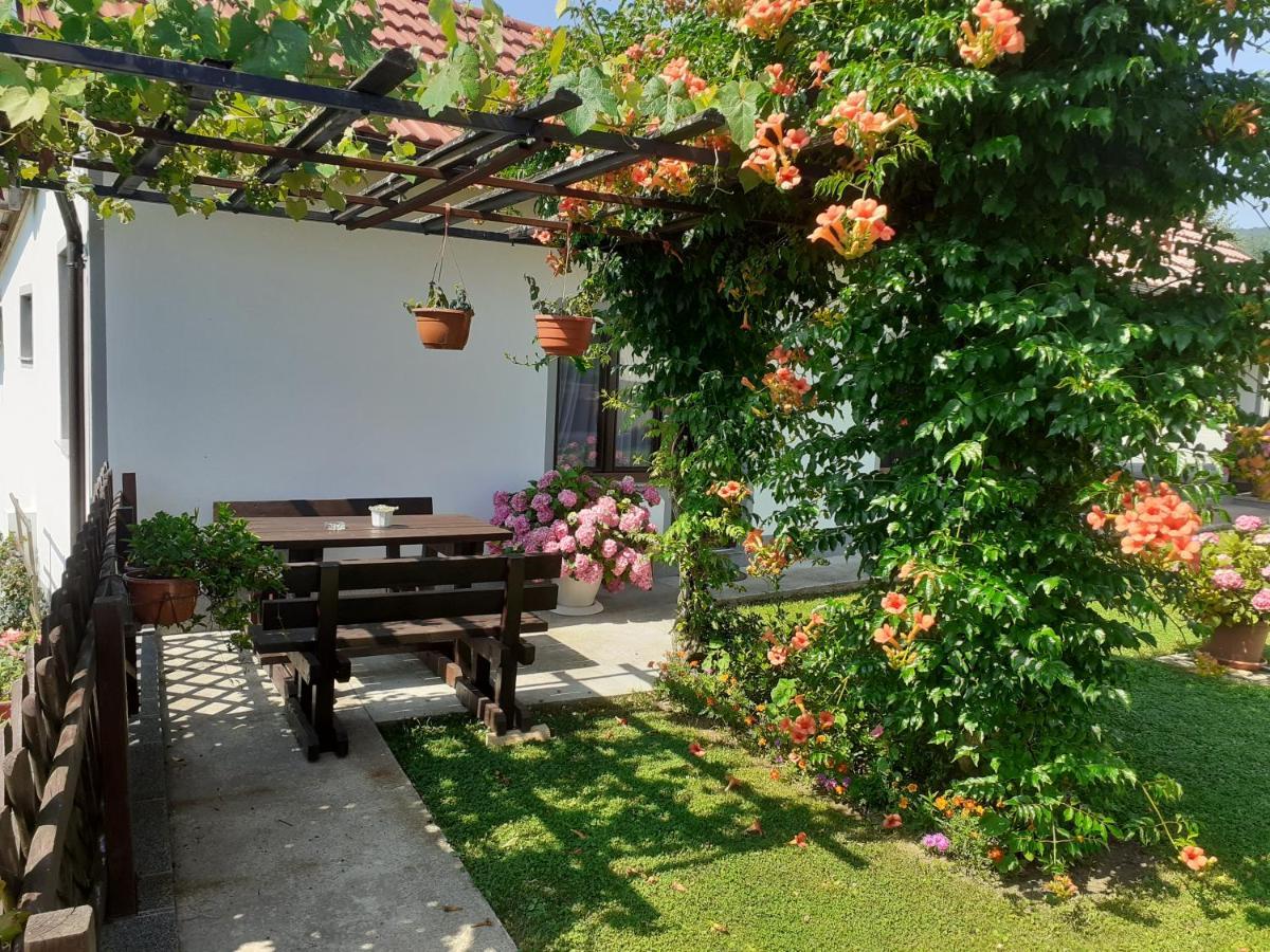 Apartment Petra I Nikola Селиште-Дрежничко Экстерьер фото