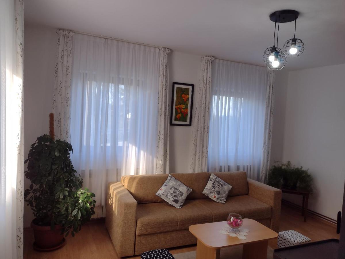 Apartment Petra I Nikola Селиште-Дрежничко Экстерьер фото