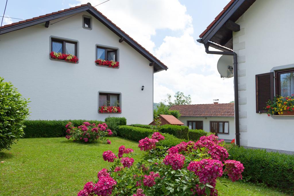 Apartment Petra I Nikola Селиште-Дрежничко Экстерьер фото